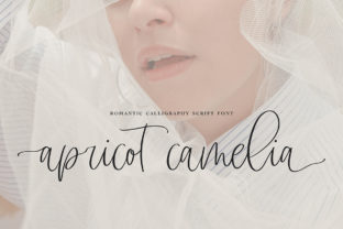 Download Apricot Camelia - Apricot Collection